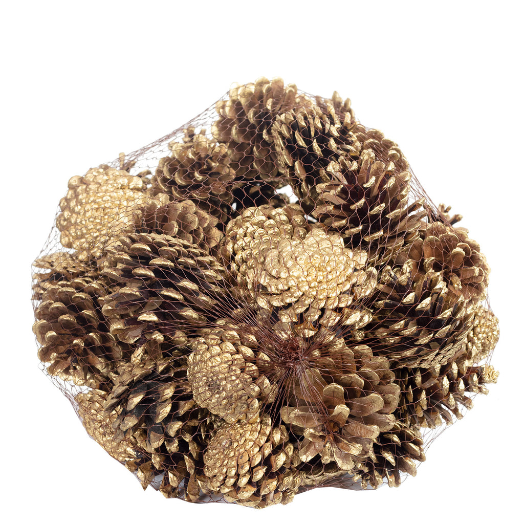 Schwarzkiefern - 1 kg im Netz - Länge ca. 5-8 cm - gold-tipped