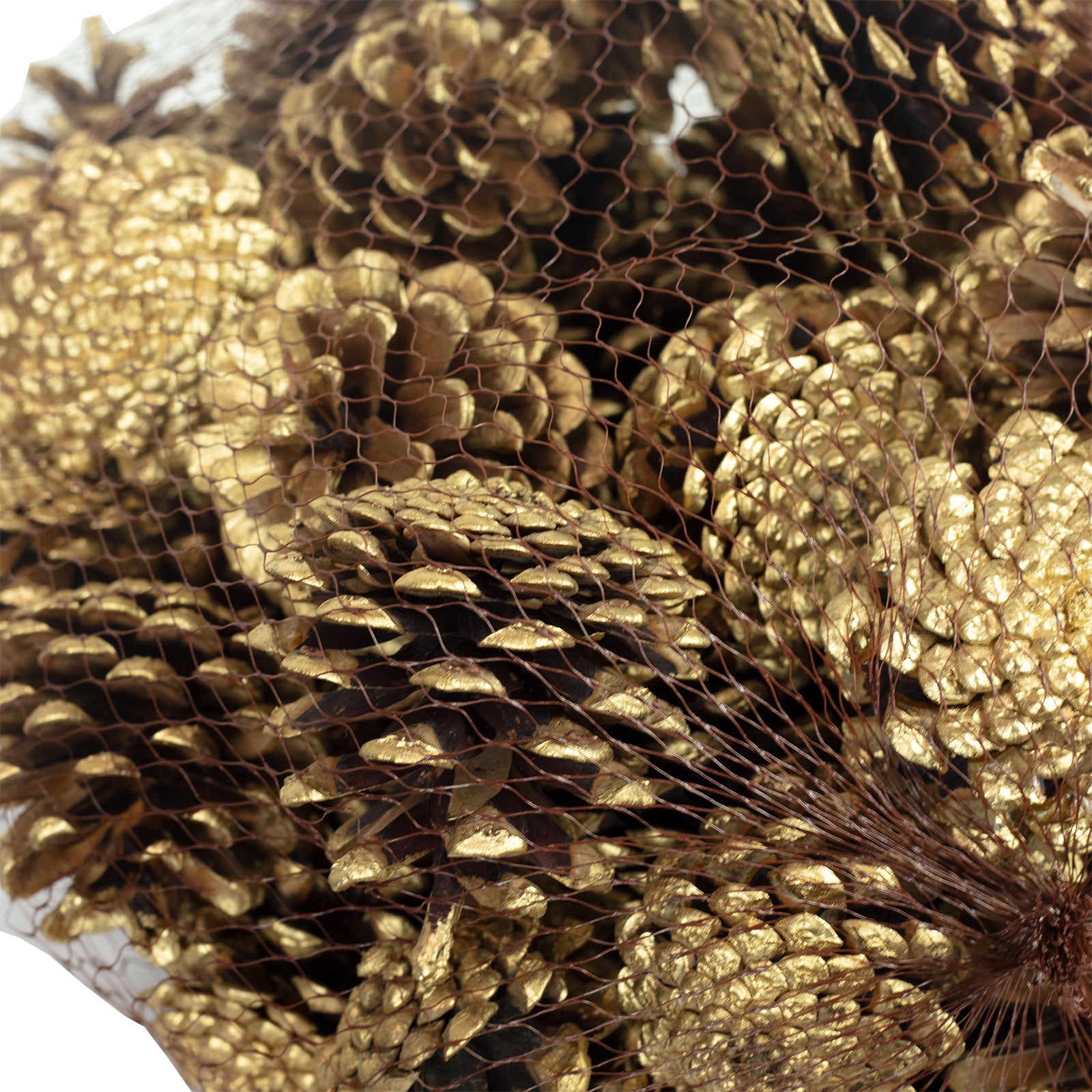 Schwarzkiefern - 1 kg im Netz - Länge ca. 5-8 cm - gold-tipped