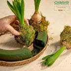 OASIS® BIOLIT® Ring - 4,5 x 24cm Ø - innen: 14,5cm Ø - 4 St.