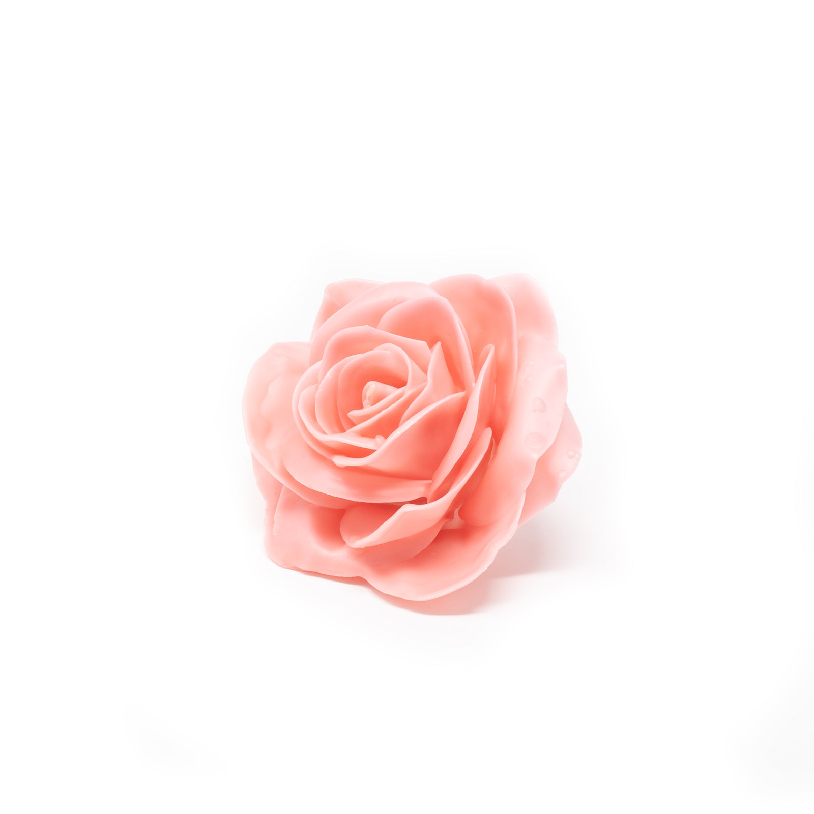 10er-Set Wachsrose - Apricot (Versilia)