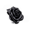 Lot de 10 roses en cire - Noires