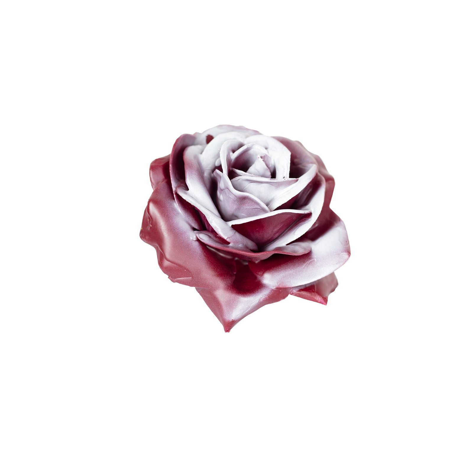 Lot de 10 roses en cire - Bord Blush White