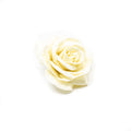 Ensemble de 10 roses en cire - crème