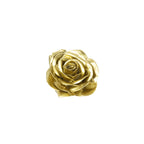 Lot de 10 roses en cire - Or
