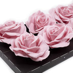 Set of 10 wax roses - Lilac Soft