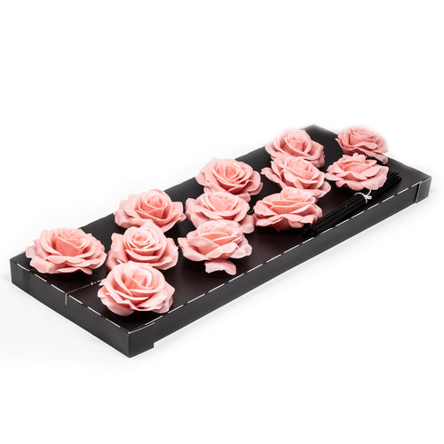 12er Set Wachsrose - Apricot (Versilia)