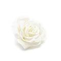 Lot de 12 roses en cire - Blanc tendre