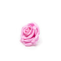 Lot de 12 roses en cire - Roses