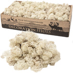 Mousse islandaise naturelle en carton - 500 g