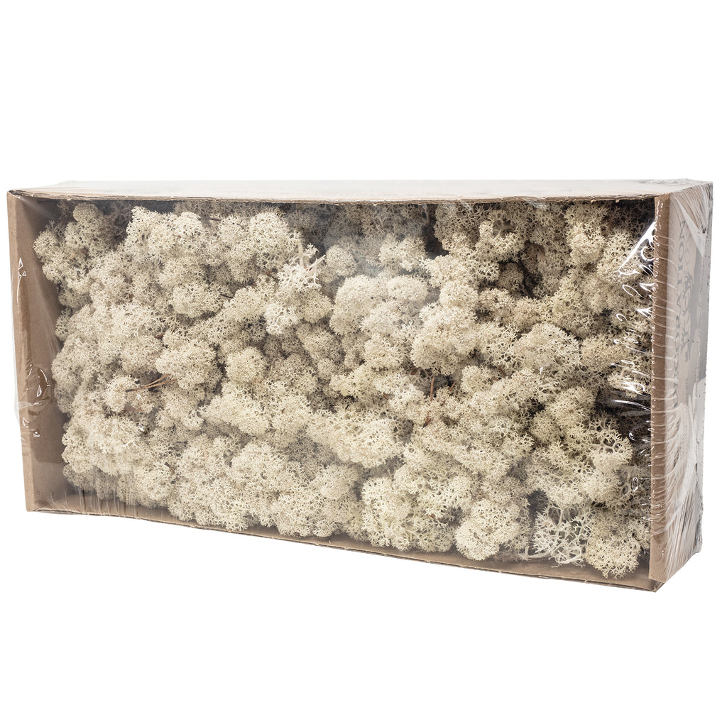 Mousse islandaise naturelle en carton - 500 g
