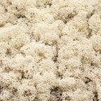Mousse islandaise naturelle en carton - 500 g