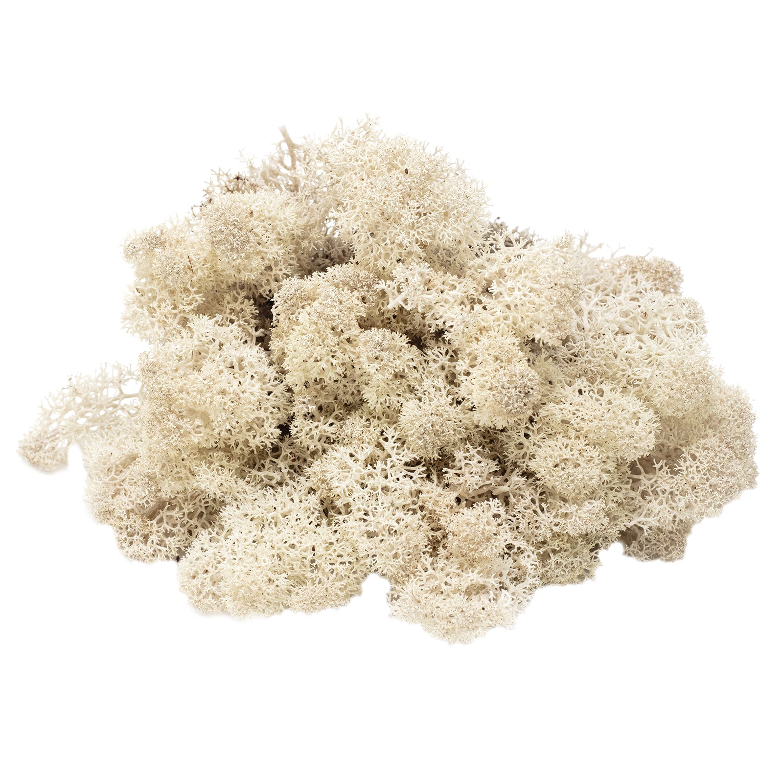 Mousse islandaise naturelle en carton - 500 g
