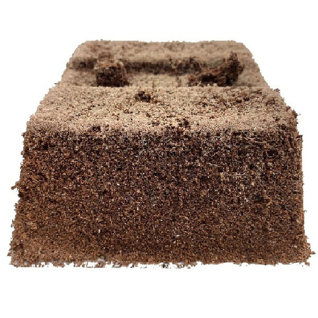 TerraBrick Floral Media, 8 briques dans un plateau en papier