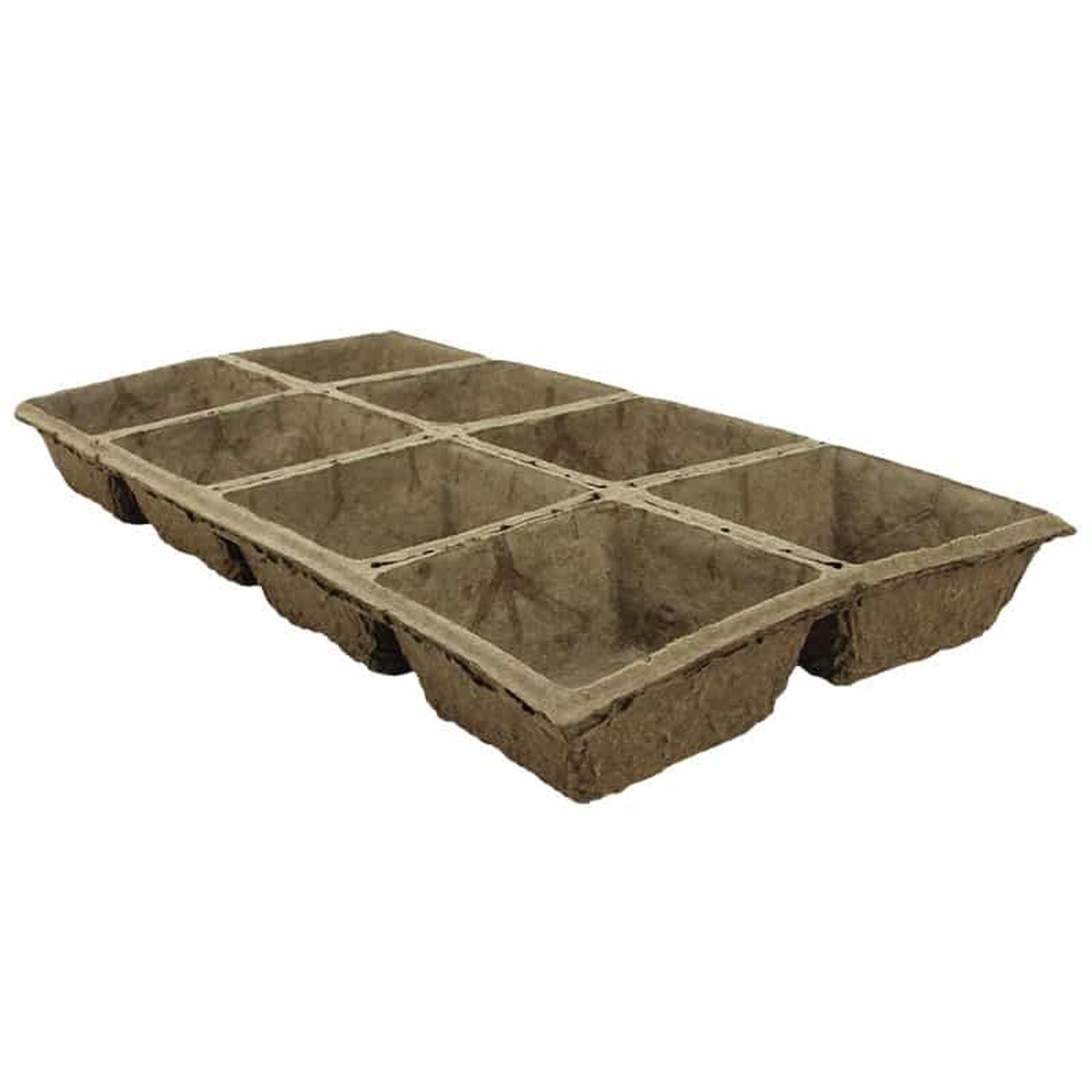 TerraBrick Floral Media, 8 briques dans un plateau en papier