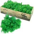 Cardboard box of reindeer moss grass green - 500g