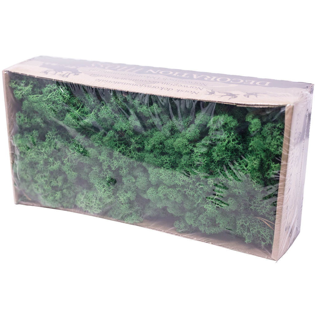 Cardboard box of reindeer moss grass green - 500g