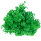 Cardboard box of reindeer moss grass green - 500g