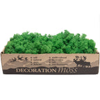 Cardboard box of reindeer moss grass green - 500g