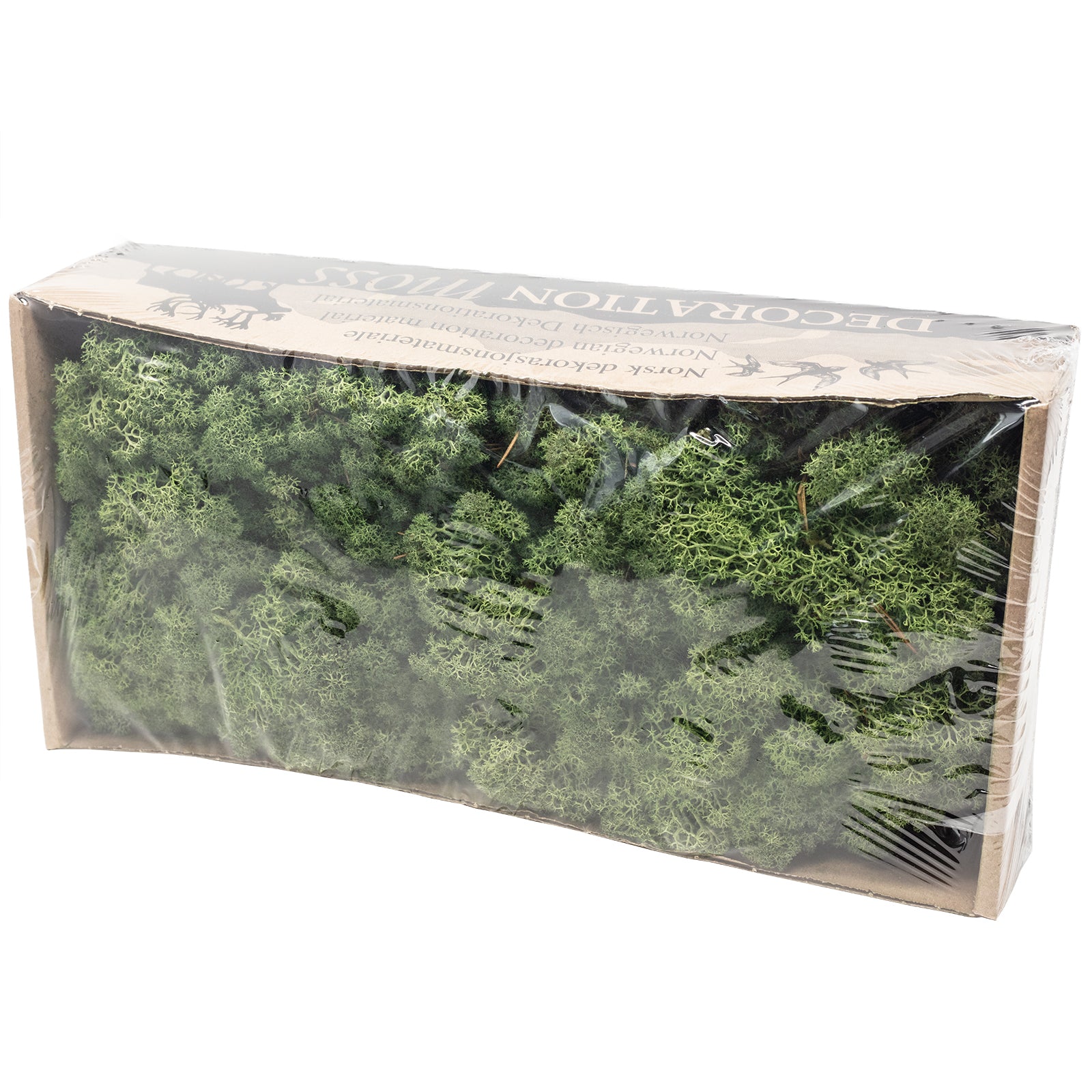 Box of Iceland moss moss green - 500g