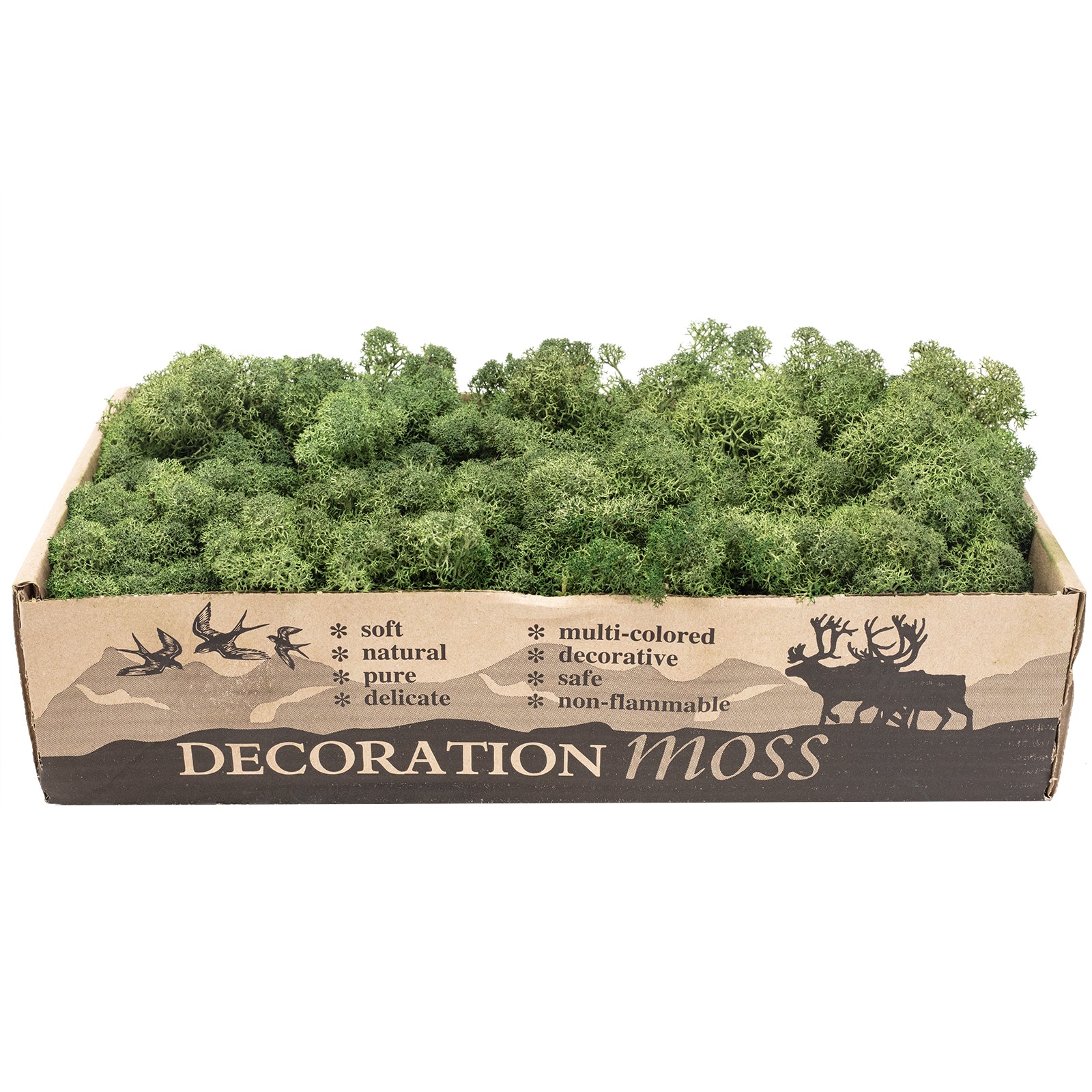 Box of Iceland moss moss green - 500g