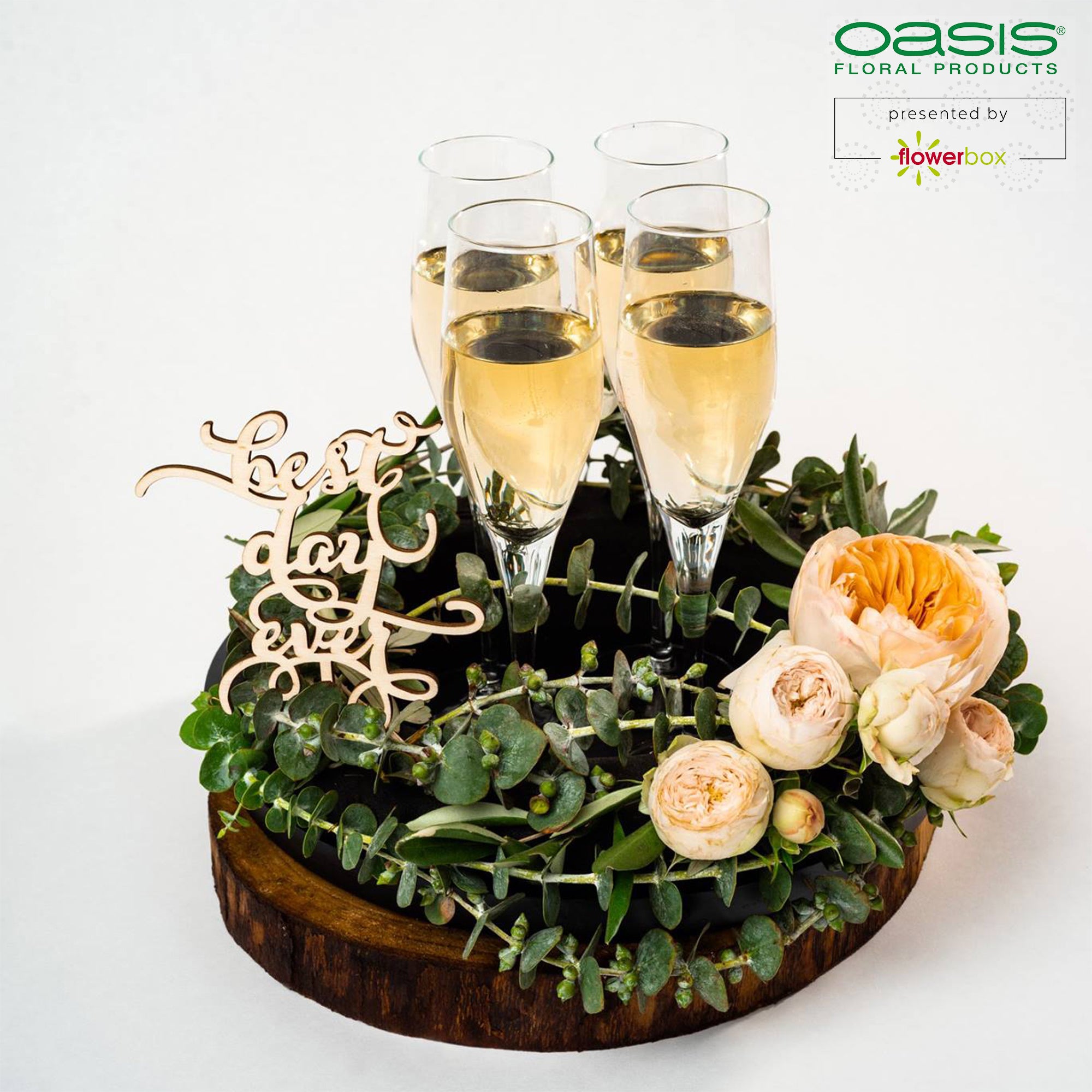 OASIS® BLACK IDEAL Design Ring - 4.5 x 30 cm Ø - 2 pieces
