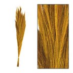 Ginstergras gelb - Thysanolaena - Länge 90-105 cm - 100g