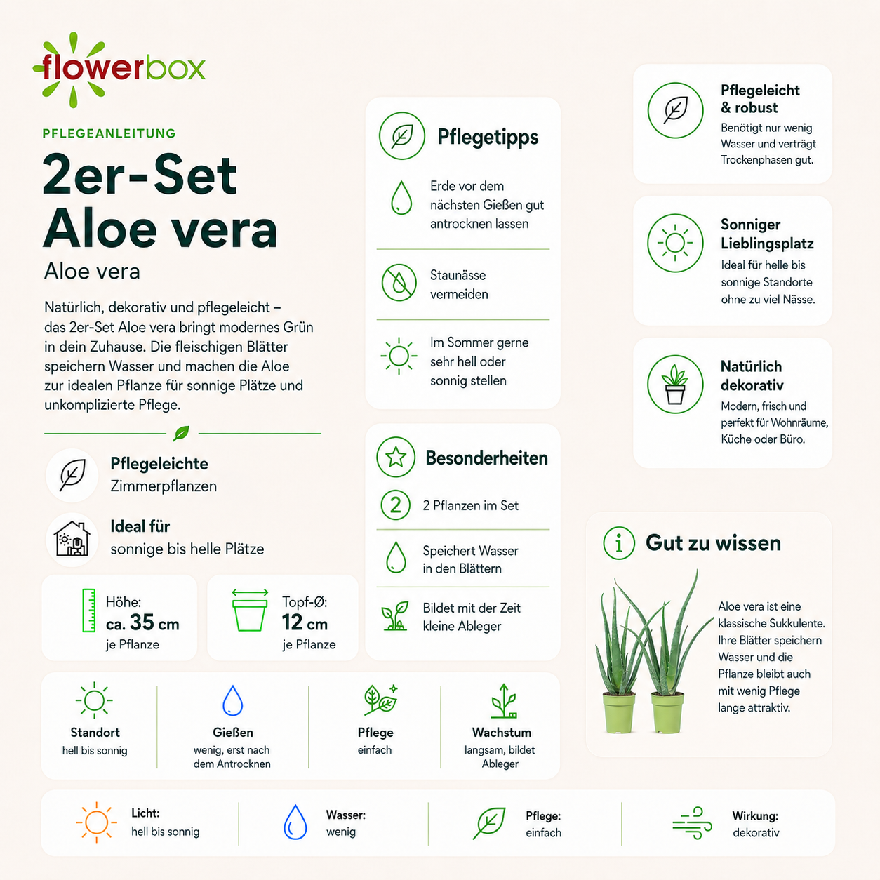 2er-Set Echte Aloe - Aloe vera - Höhe ca. 40 cm, Topf-Ø 12 cm