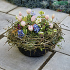OASIS® BLACK BIOLIT® Pflanzschale, Ø 25 cm