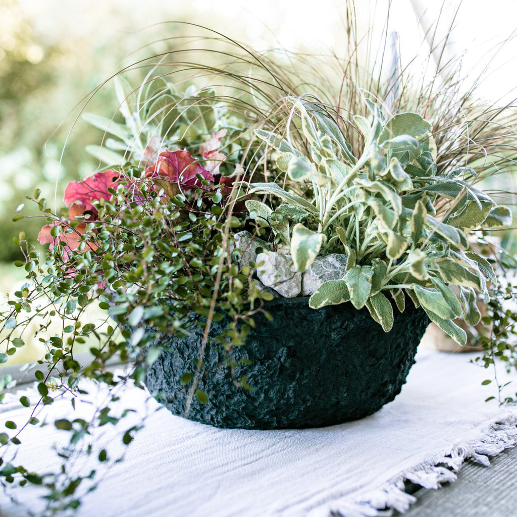 Plateau de plantation OASIS® BLACK BIOLIT®, Ø 17 cm
