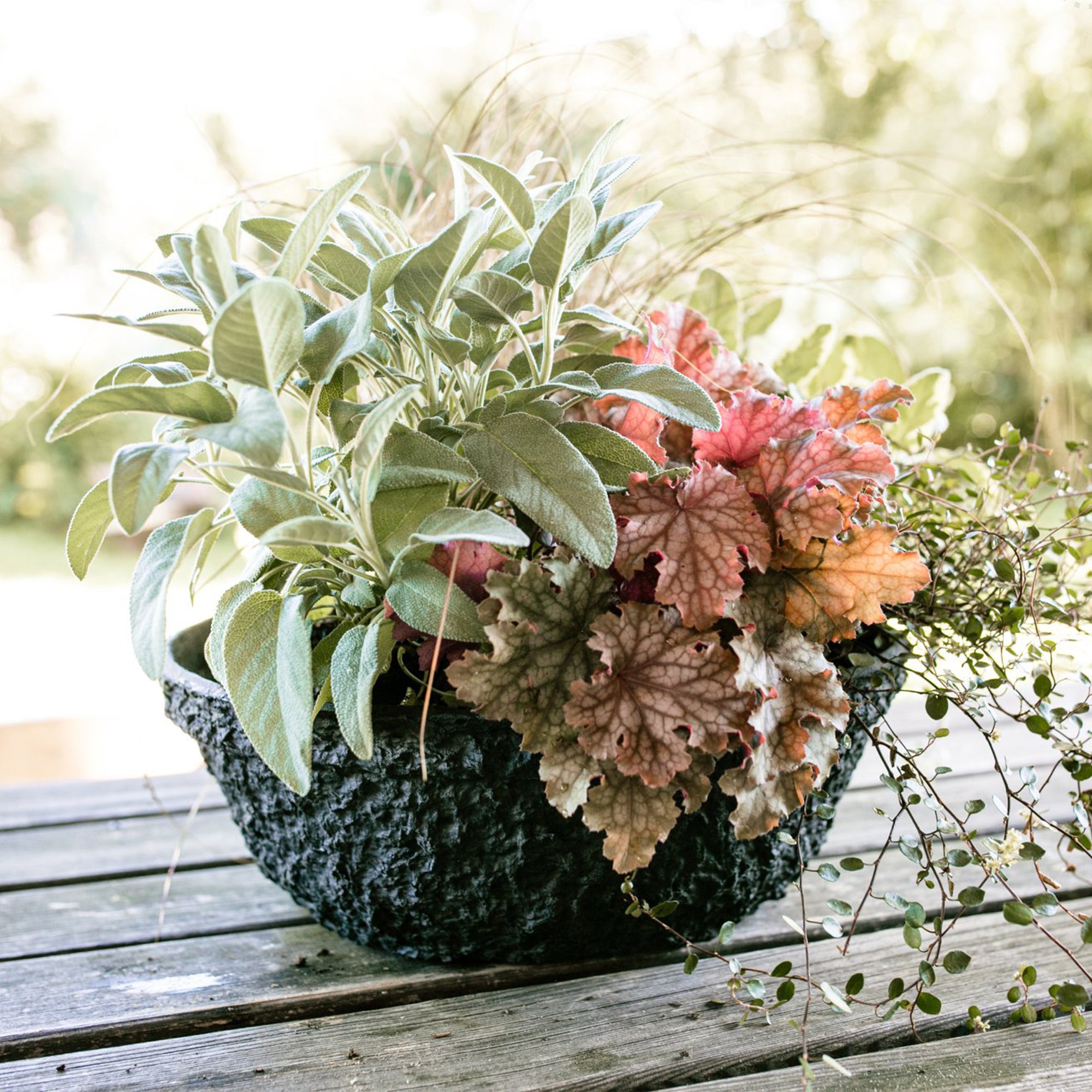 Plateau de plantation OASIS® BLACK BIOLIT®, Ø 17 cm