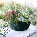Plateau de plantation OASIS® BLACK BIOLIT®, Ø 35 cm