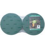 OASIS® IDEAL Zylinder - 7 x 22 cm Ø - 2 Stück