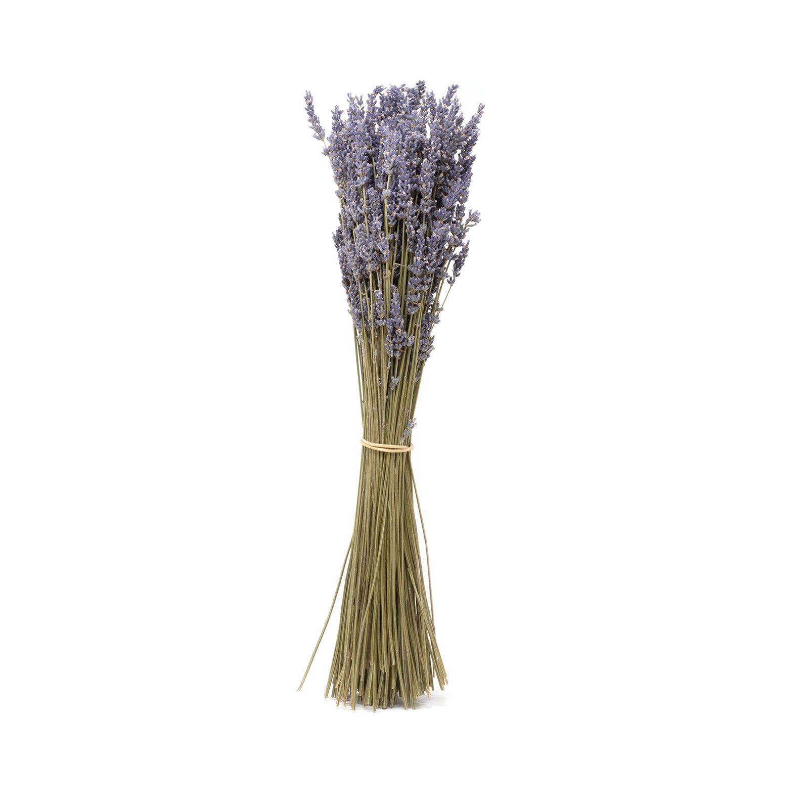 Bund Lavendel lila - Lavandula - Stiellänge ca. 45 cm - getrocknet