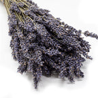 Bund Lavendel lila - Lavandula - Stiellänge ca. 45 cm - getrocknet