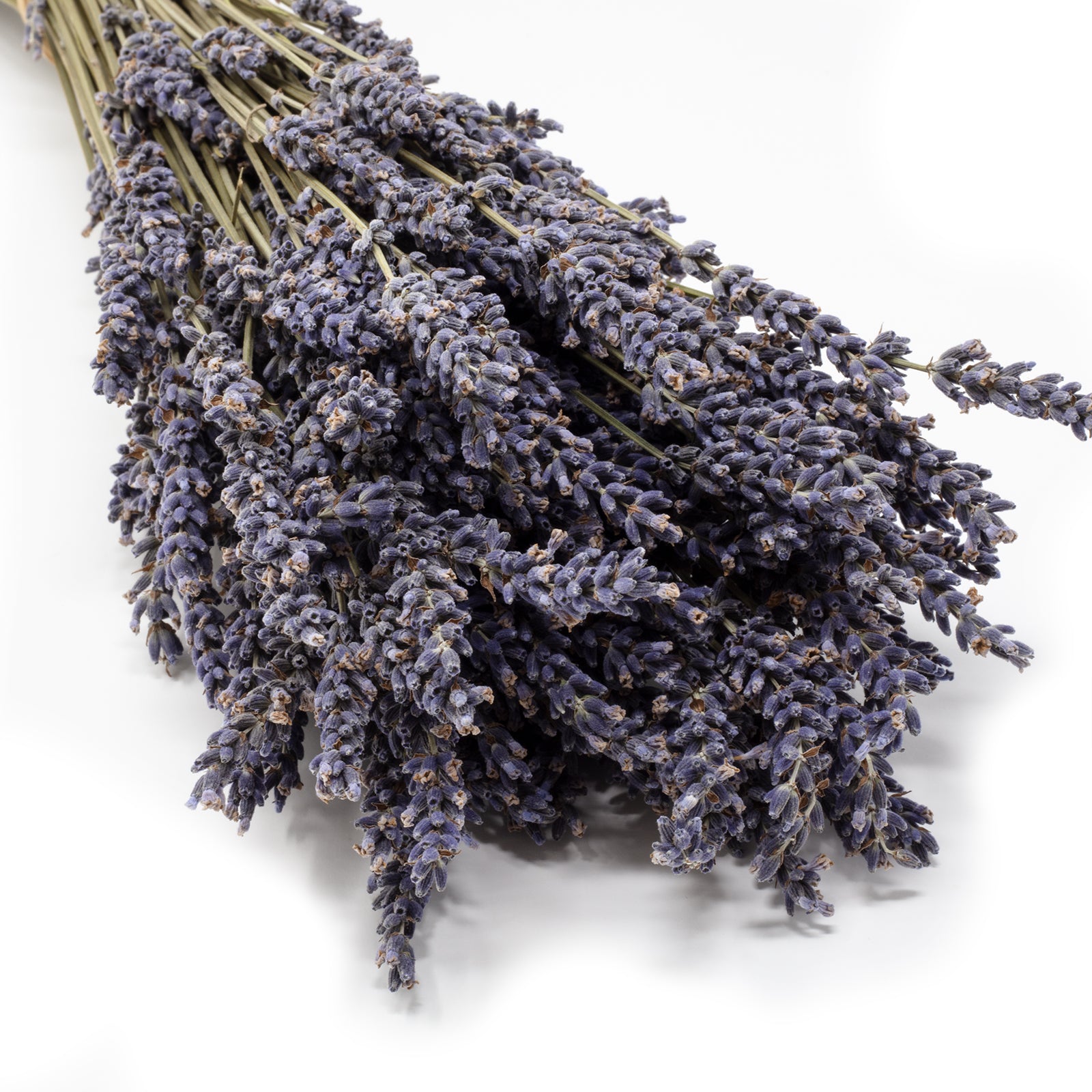 Bund Lavendel lila - Lavandula - Stiellänge ca. 45 cm - getrocknet