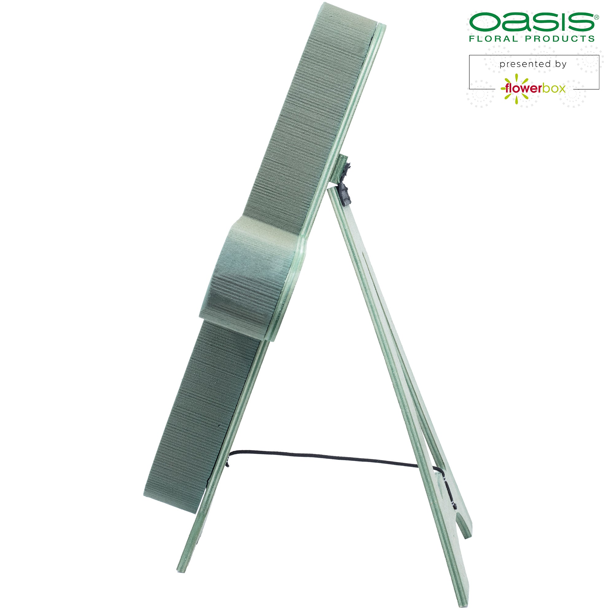 OASIS® BIOLINE® Plus signe + - 37 x 40 x 5 cm
