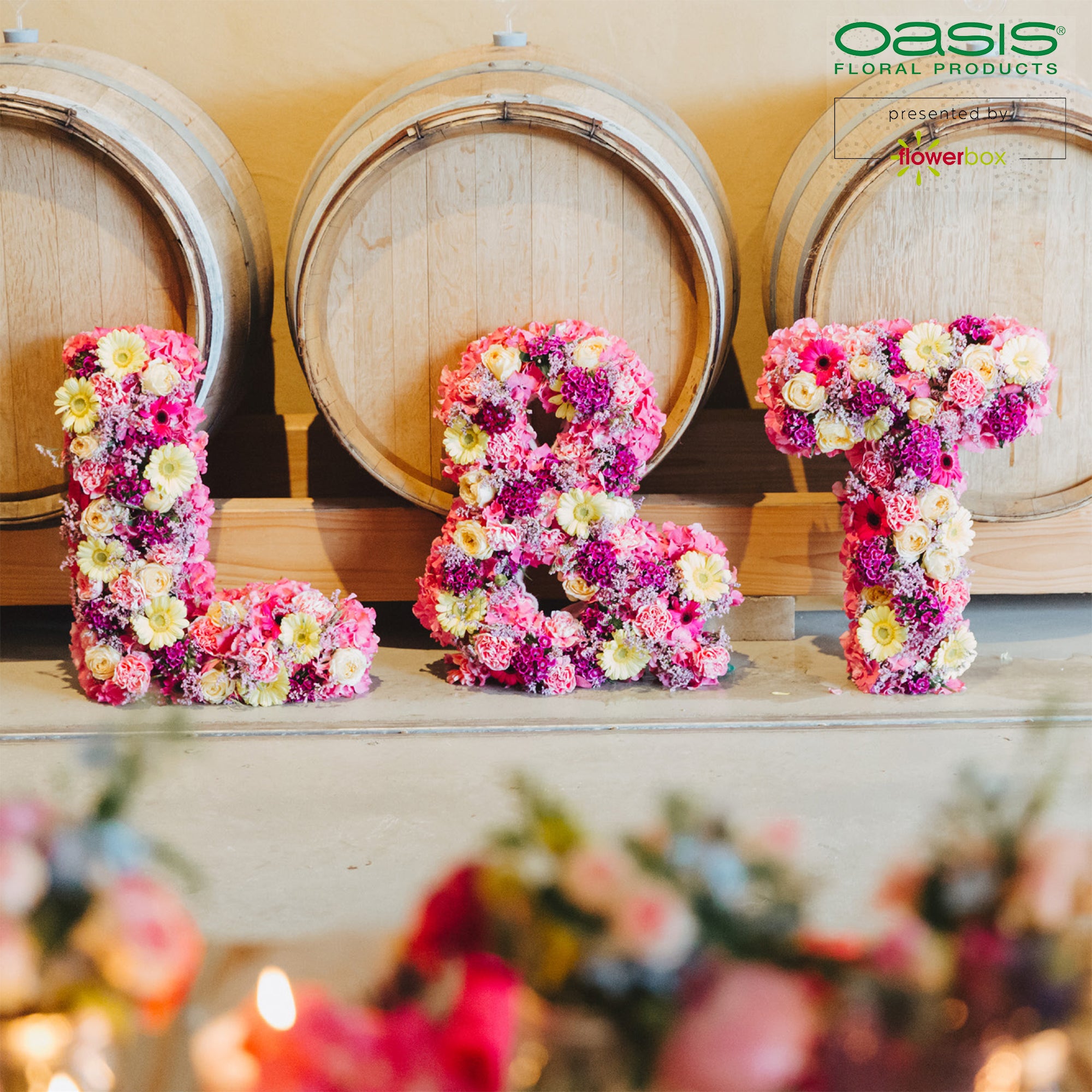 Lettre E OASIS® BIOLINE® - 37 x 40 x 5 cm