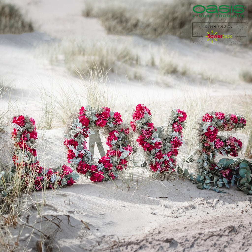 OASIS® BIOLINE® Buchstabe F - 37 x 40 x 5 cm
