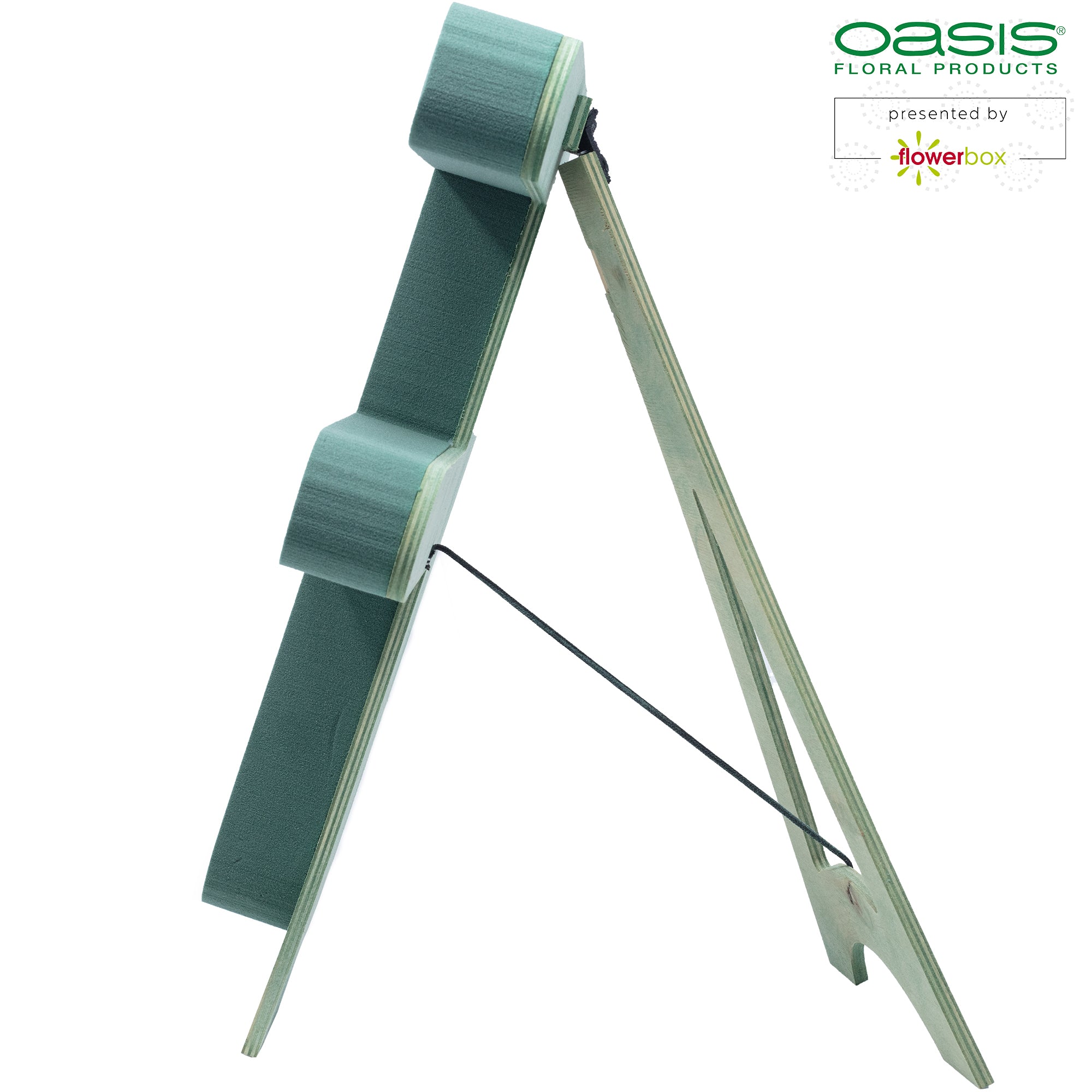 OASIS® BIOLINE® Buchstabe F - 37 x 40 x 5 cm