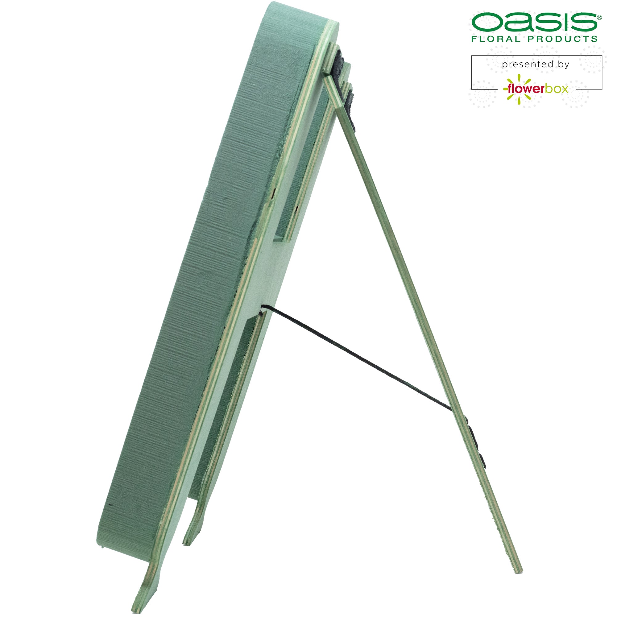 OASIS® BIOLINE® Buchstabe H - 37 x 40 x 5 cm