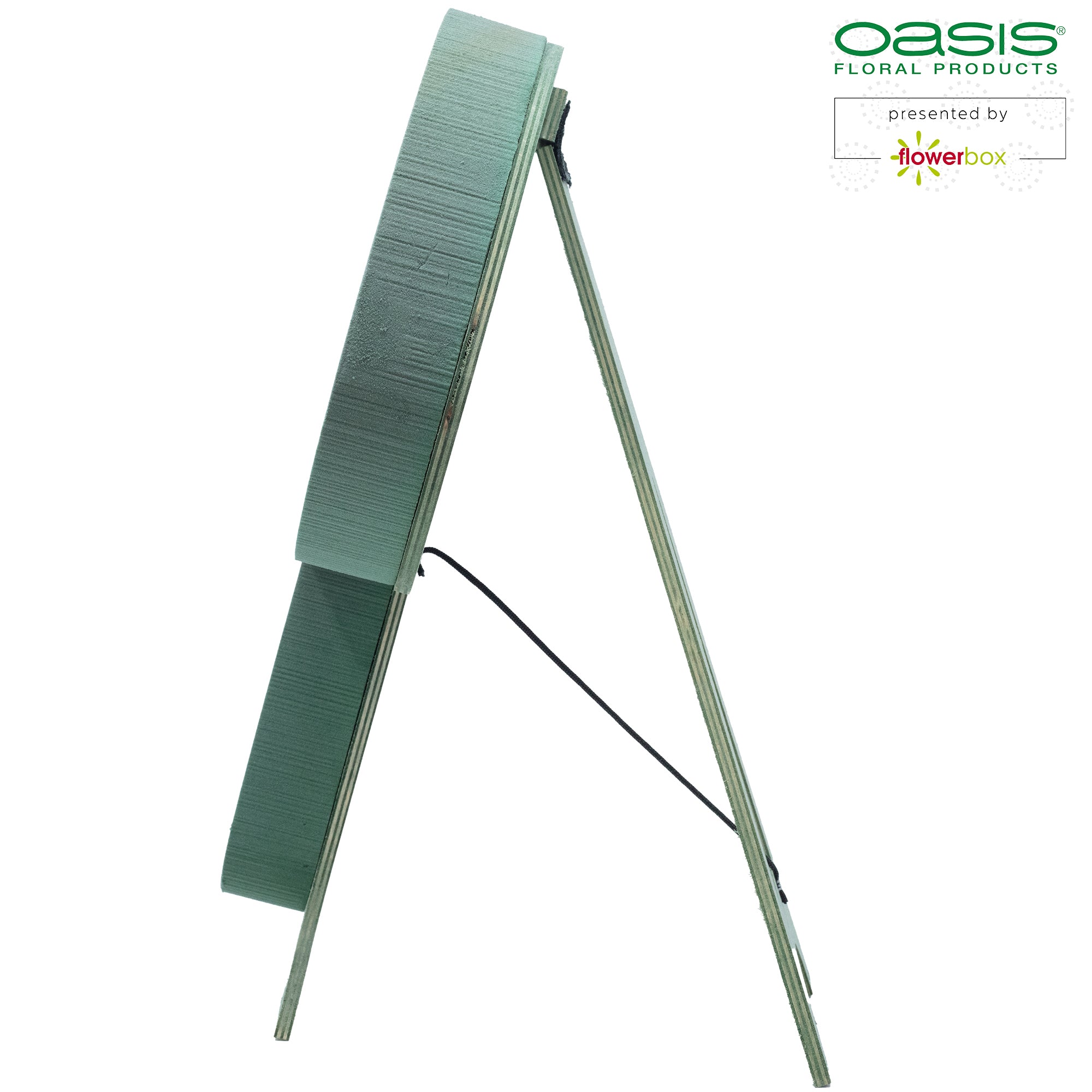 OASIS® BIOLINE® Letter P - 37 x 40 x 5 cm