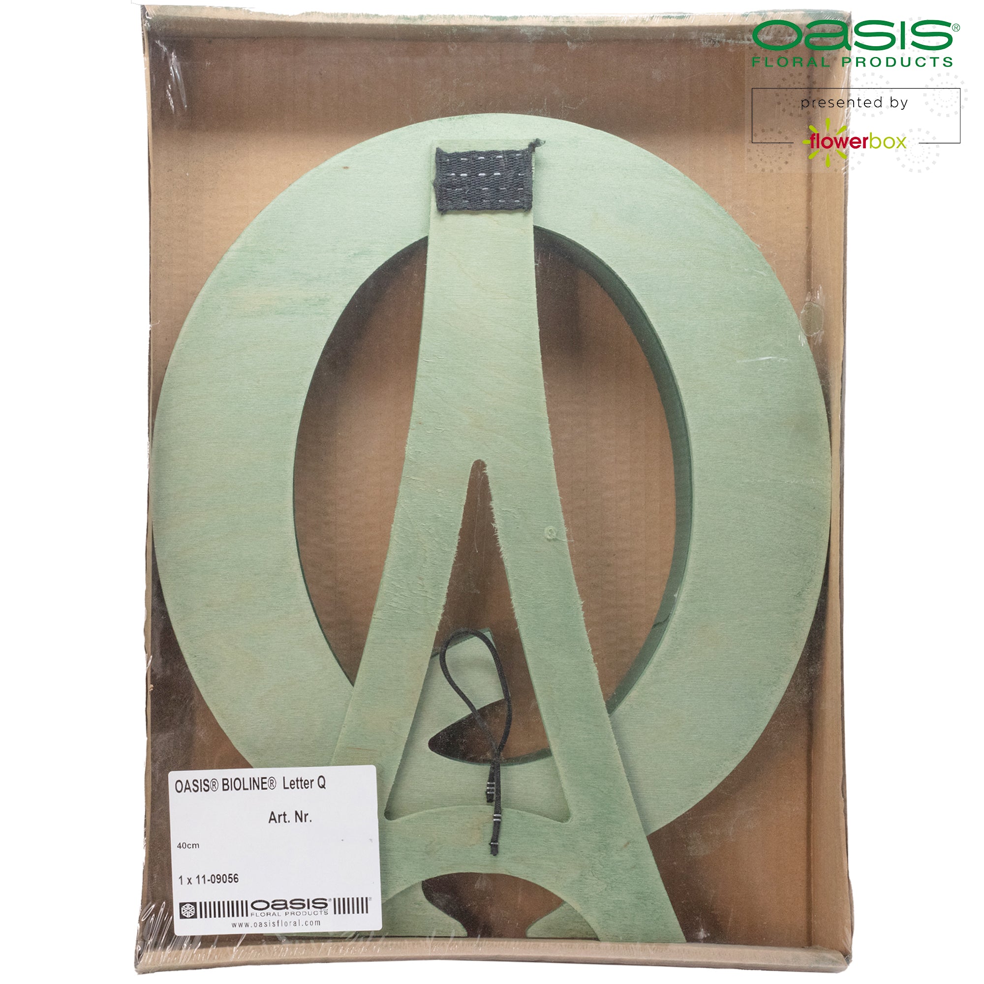 OASIS® BIOLINE® Letter Q - 37 x 40 x 5 cm