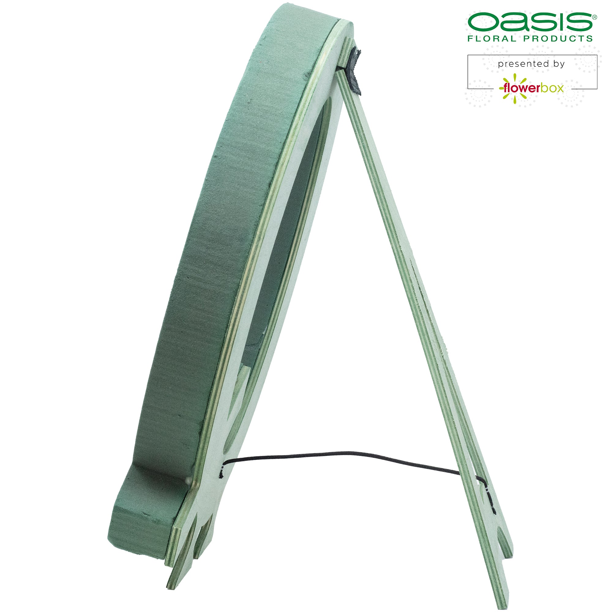 OASIS® BIOLINE® Letter Q - 37 x 40 x 5 cm