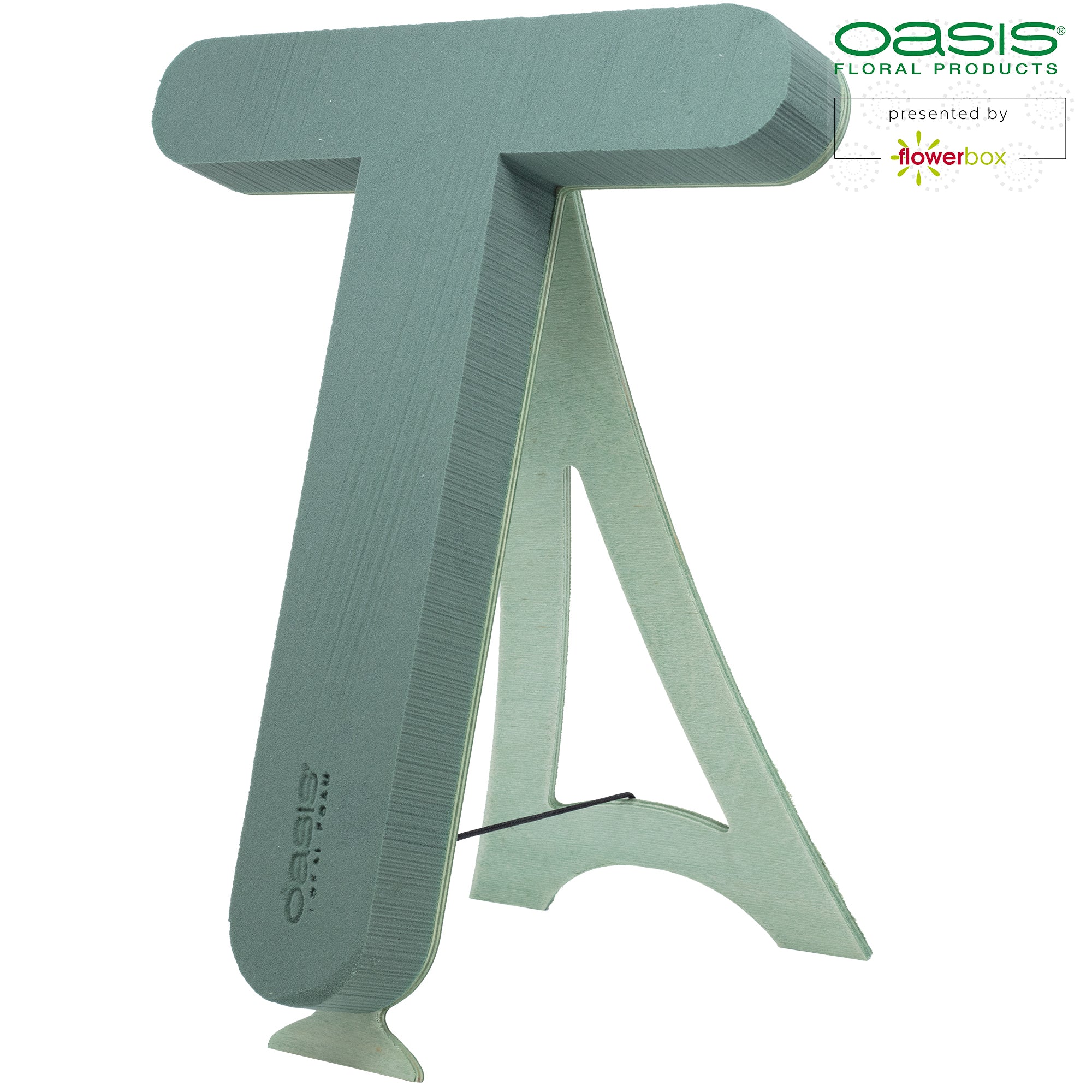 OASIS® BIOLINE® Buchstabe T - 37 x 40 x 5 cm