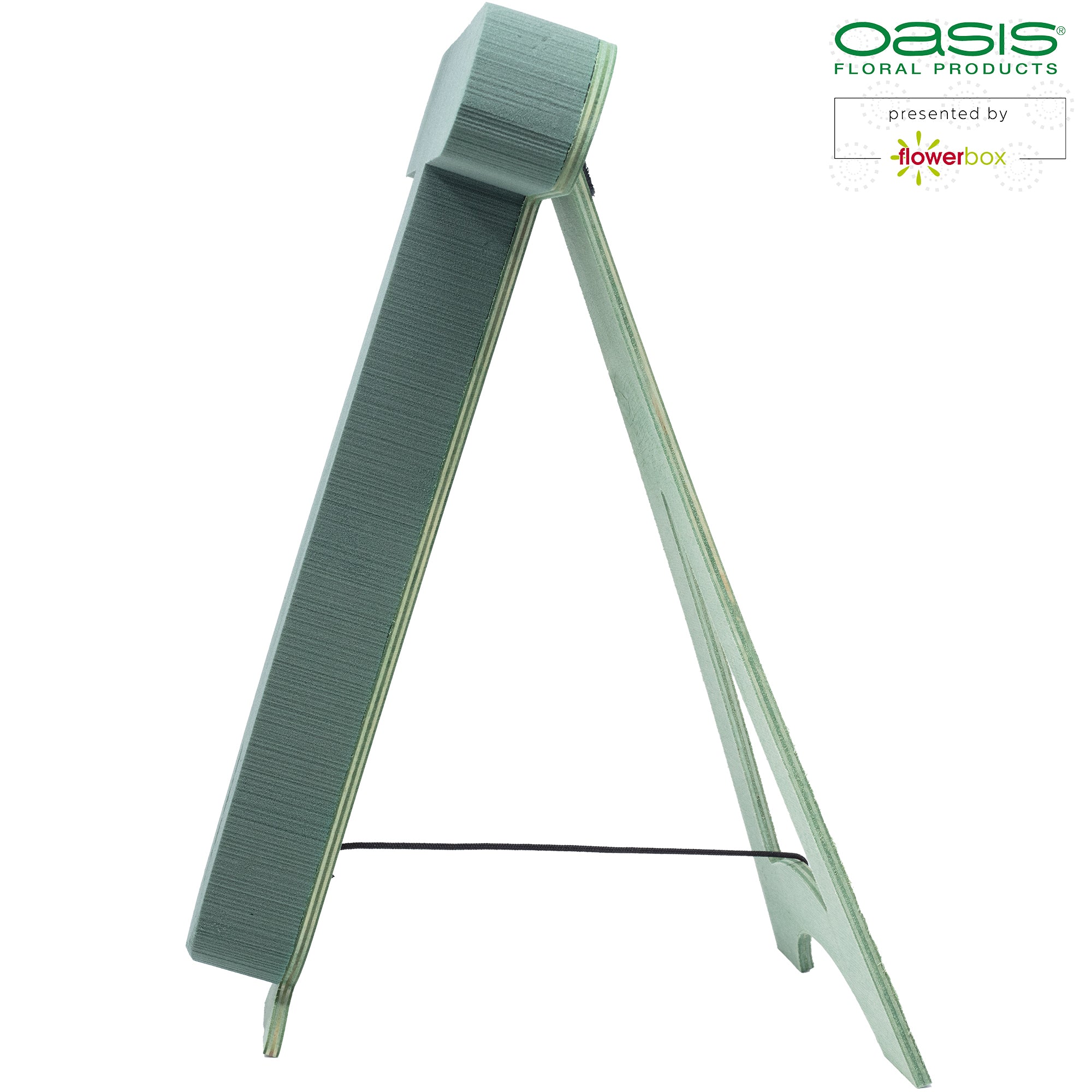 OASIS® BIOLINE® Buchstabe T - 37 x 40 x 5 cm