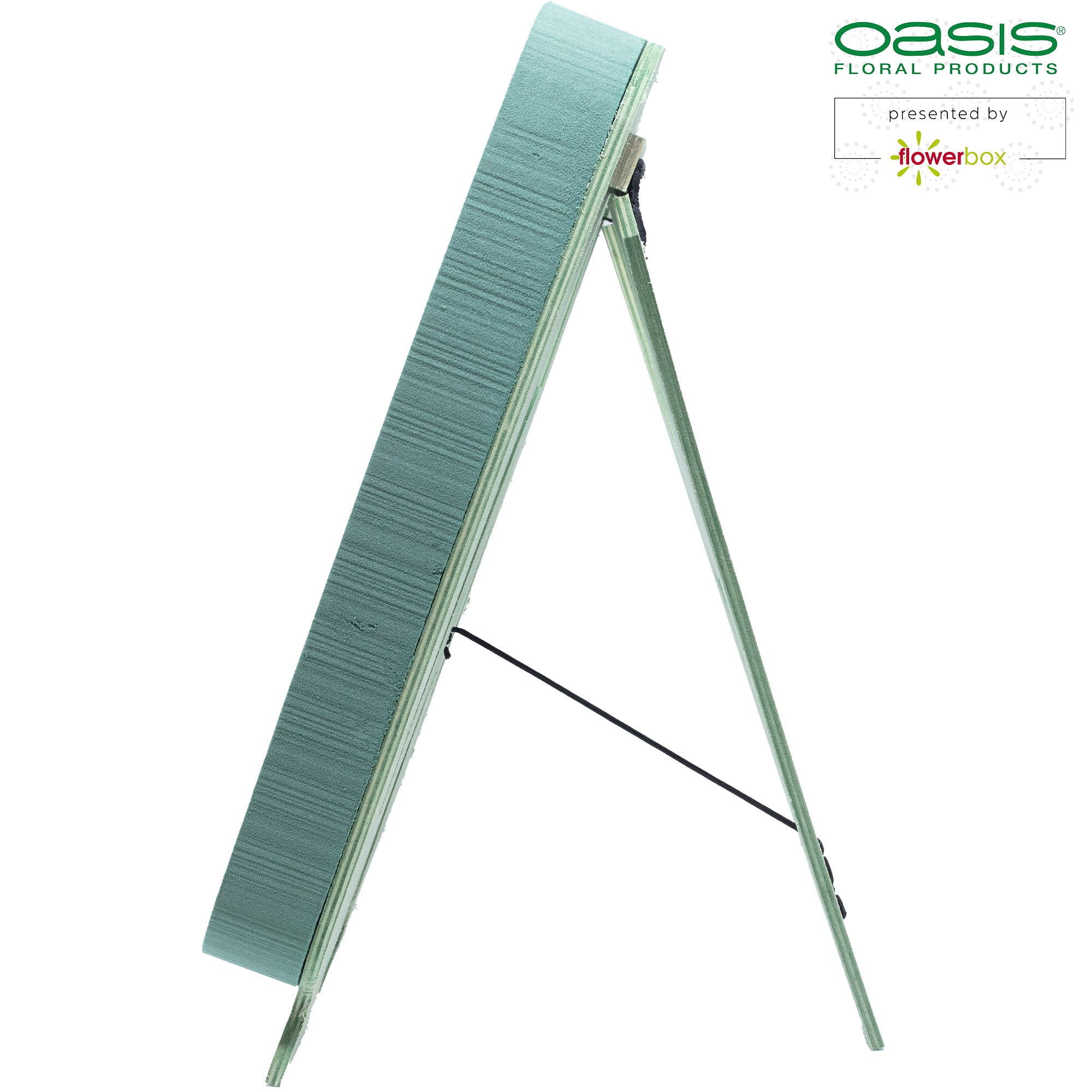 OASIS® BIOLINE® Letter W - 37 x 40 x 5 cm