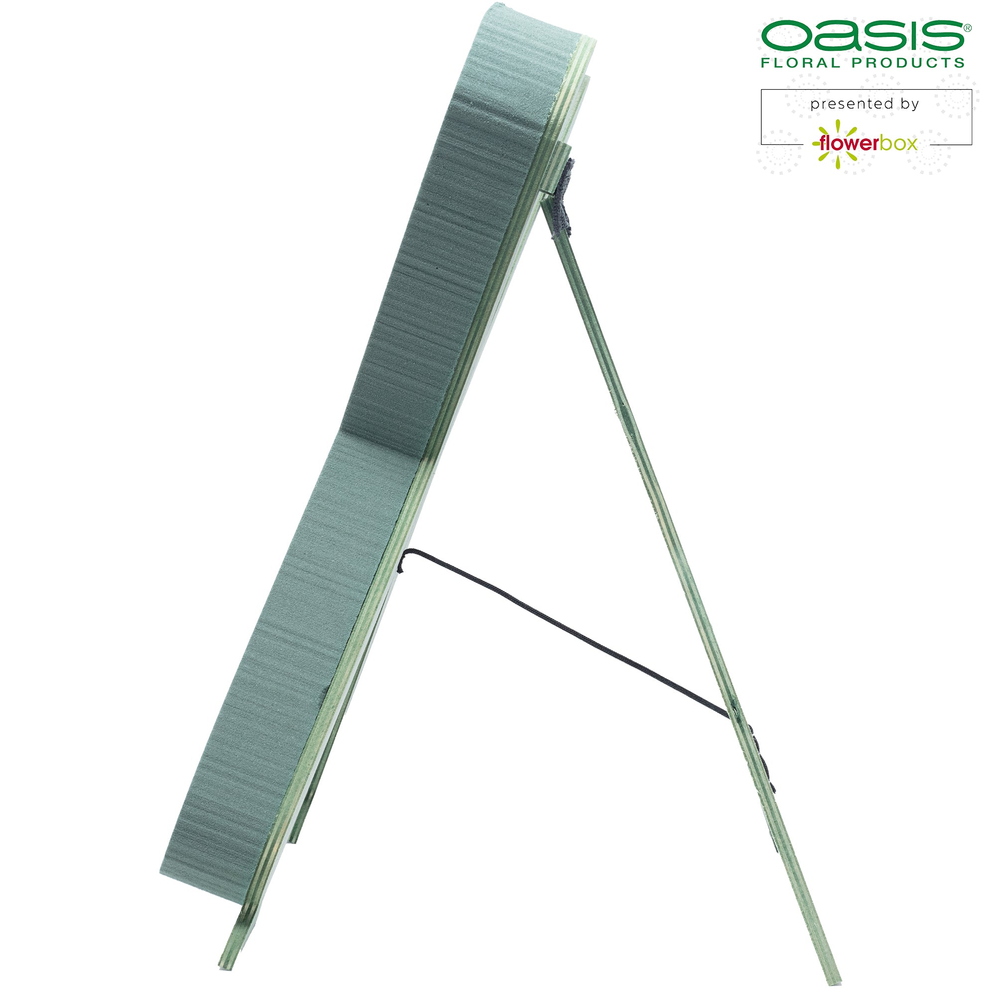 OASIS® BIOLINE® Buchstabe X - 37 x 40 x 5 cm