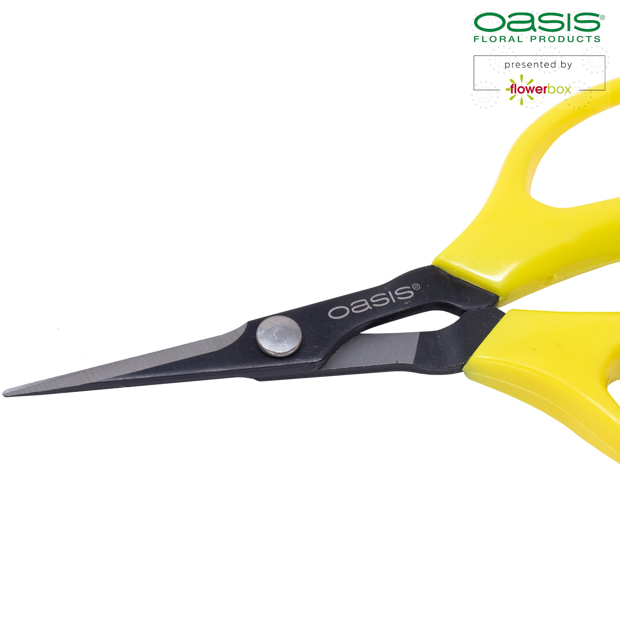 OASIS® Bonsai & Tweezing Scissors - 150 mm