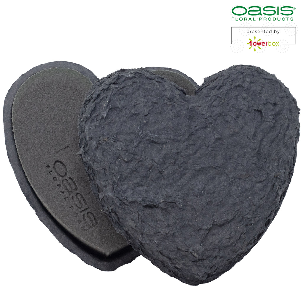 OASIS® BLACK BIOLIT® Herzen - 17 x 17 x 4 cm -2 Stück