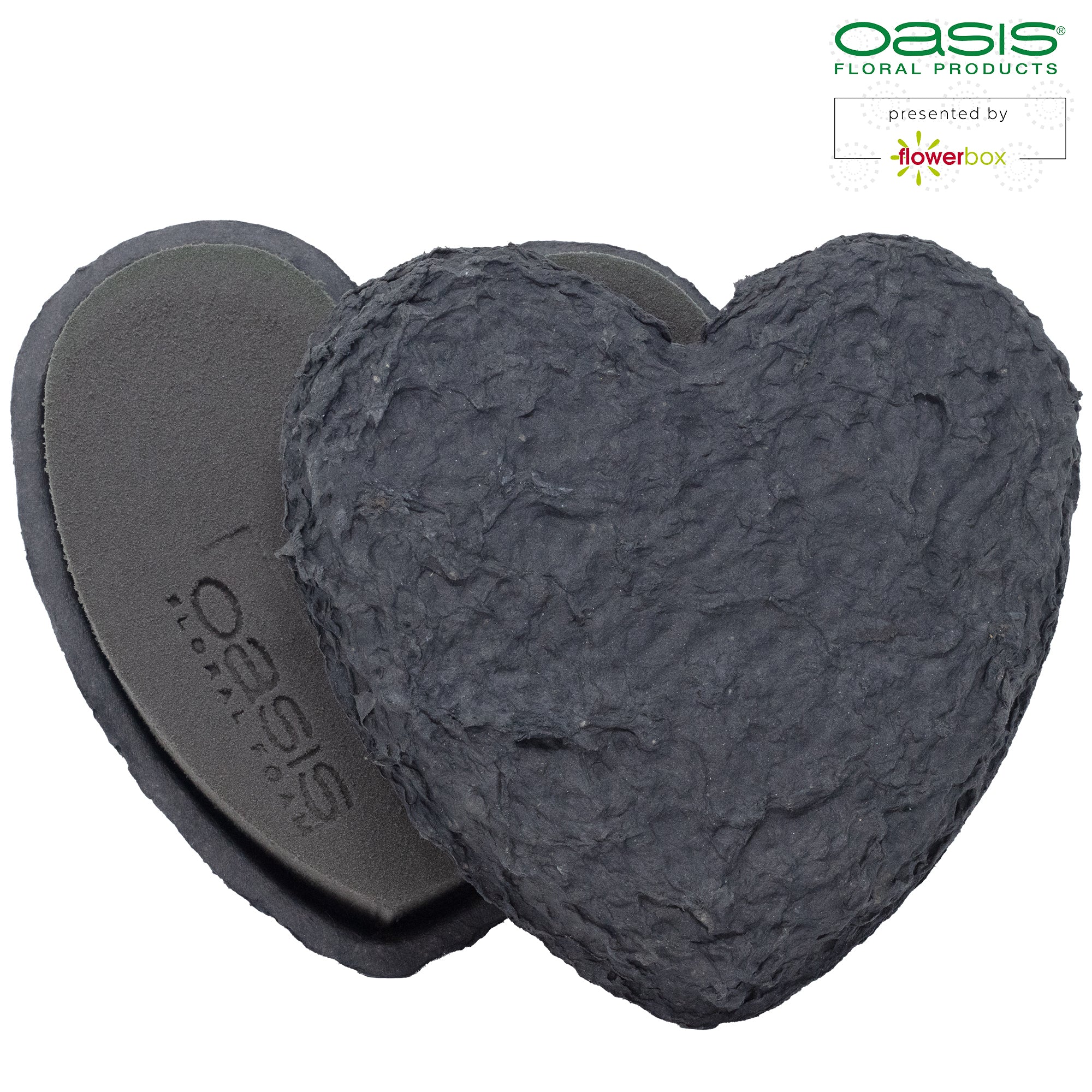 OASIS® BLACK BIOLIT® Herzen - 17 x 17 x 4 cm -2 Stück